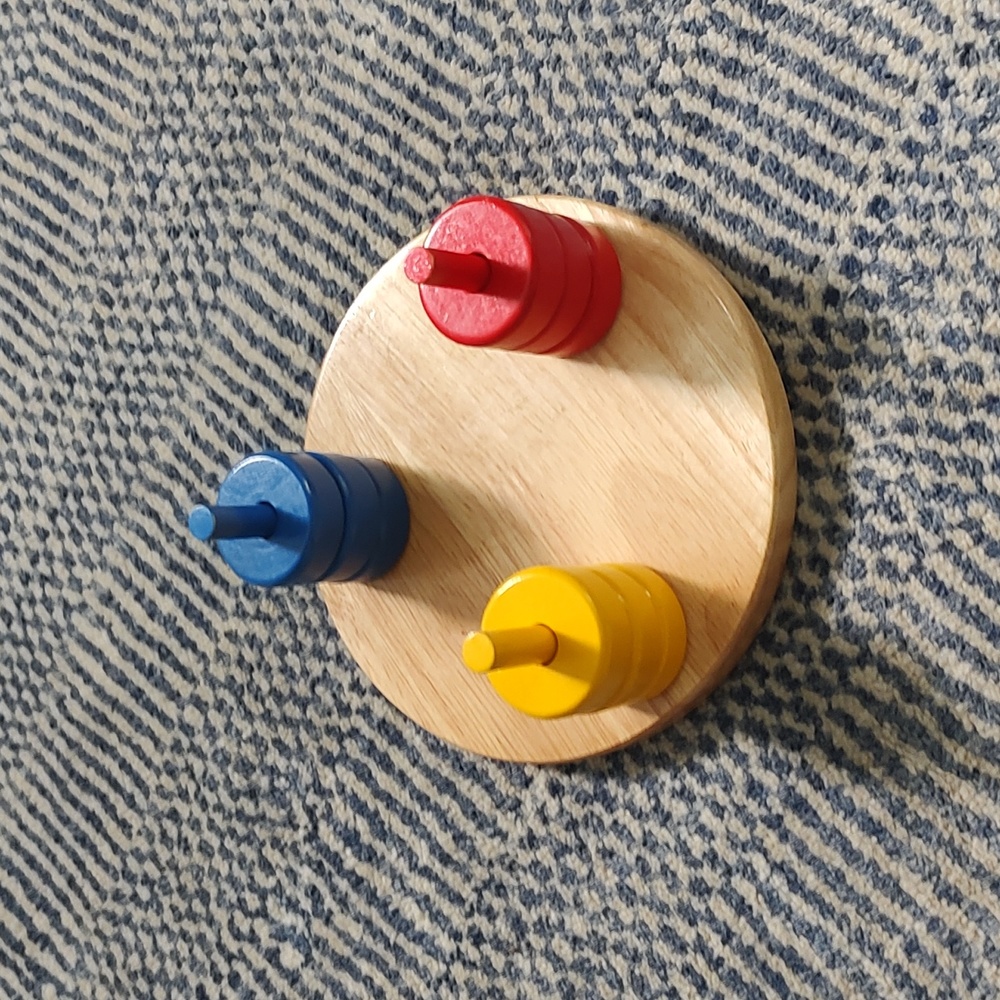 Montessori Peg Sort Toy